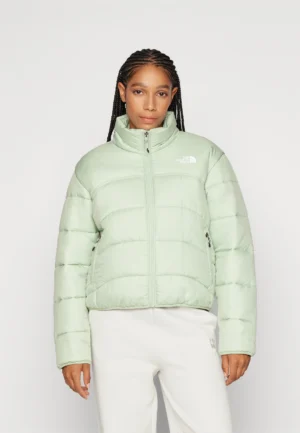 The North Face Winter Jacket,